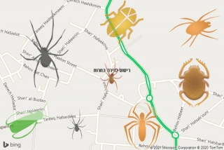 שירות ריסוס בחרות - ריסוס לדירה בחרות