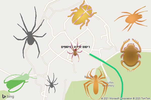 ריסוס לדירה בכיסופים