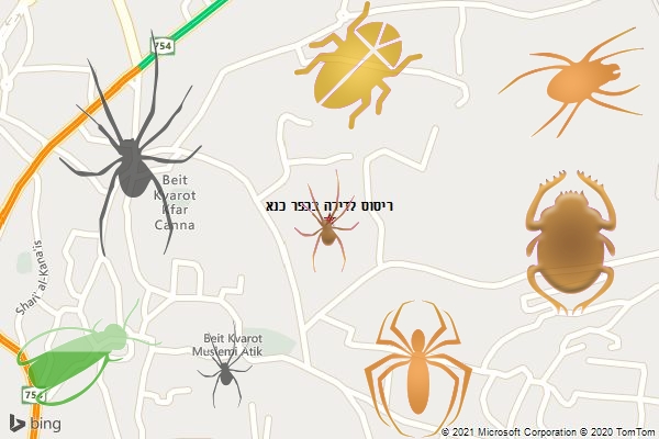 ריסוס לדירה בכפר כנא
