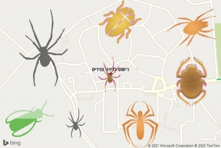 שירות ריסוס בנירים - ריסוס לדירה בנירים