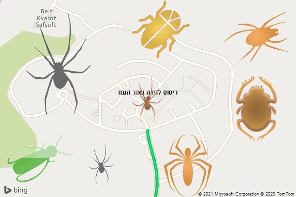 ריסוס לדירה באור הגנוז