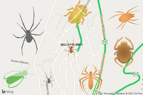 ריסוס לדירה בגונן
