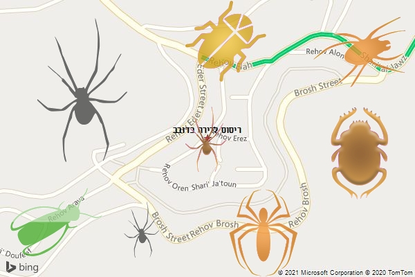 ריסוס לדירה בדובב