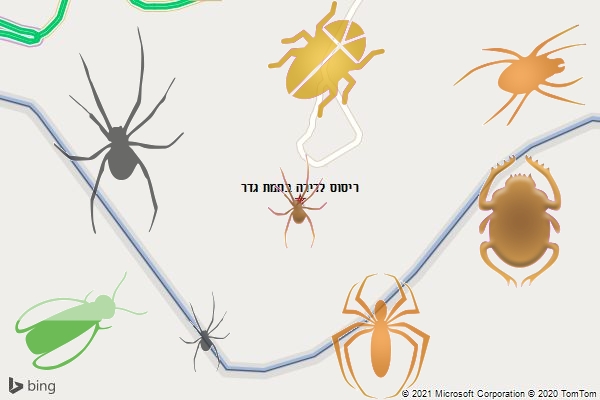 ריסוס לדירה בחמת גדר