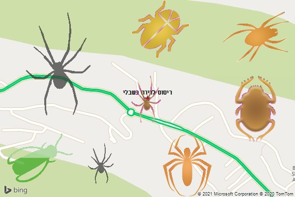 ריסוס לדירה בשבלי
