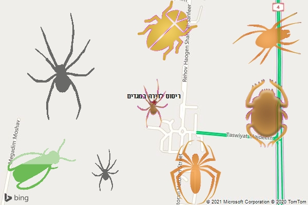 ריסוס לדירה במגדים