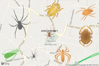 שירות ריסוס בטירה - ריסוס לדירה בטירה