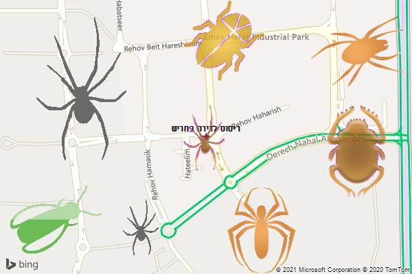 ריסוס לדירה בחריש