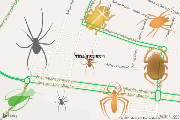 ריסוס לדירה בצורף