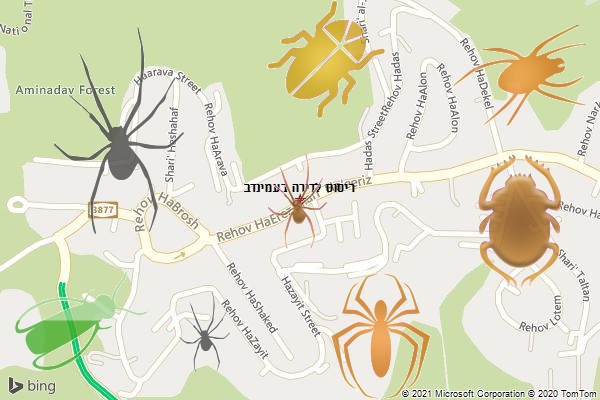 ריסוס לדירה בעמינדב