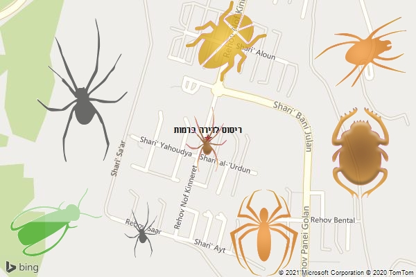 ריסוס לדירה ברמות