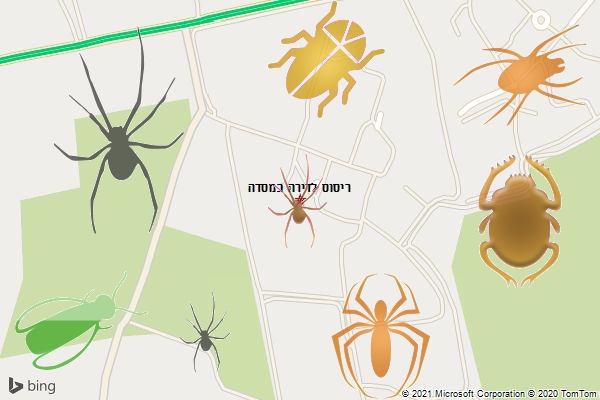 ריסוס לדירה במסדה