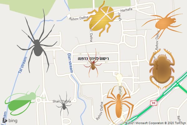 ריסוס לדירה בדפנה