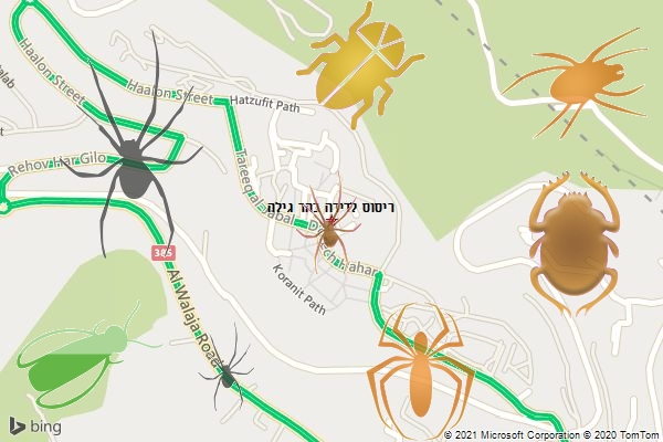 ריסוס לדירה בהר גילה