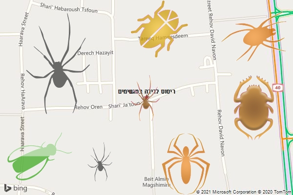 ריסוס לדירה במגשימים