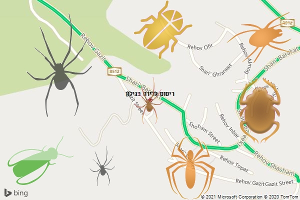 ריסוס לדירה בגילון
