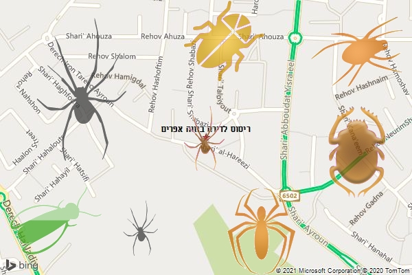ריסוס לדירה בנווה אפרים