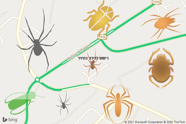ריסוס לדירה בזרזיר
