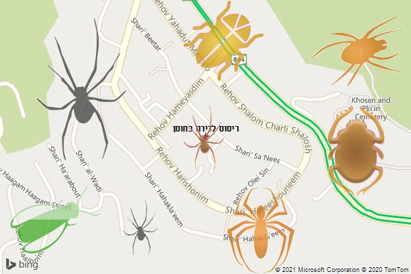 ריסוס לדירה בחוסן
