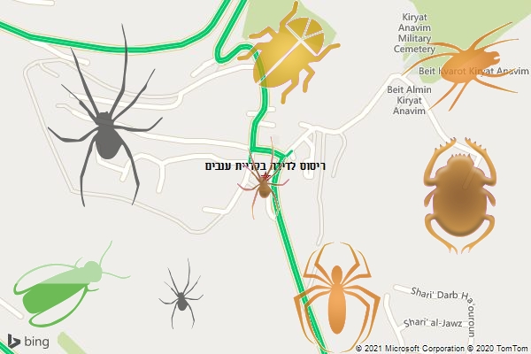 ריסוס לדירה בקריית ענבים