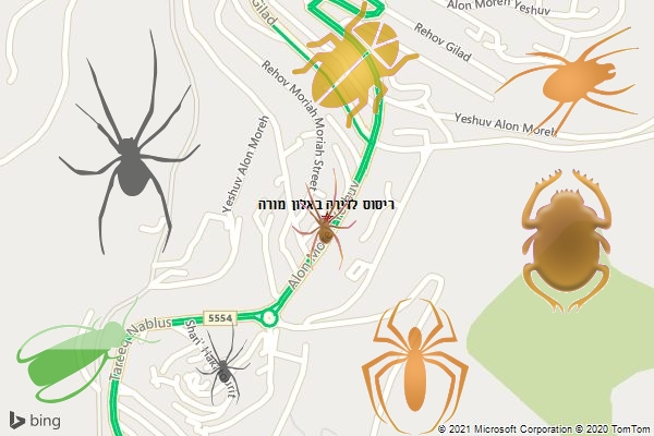 ריסוס לדירה באלון מורה