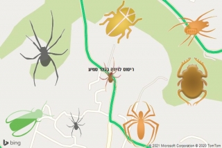שירות ריסוס בכפר סמיע - ריסוס לדירה בכפר סמיע