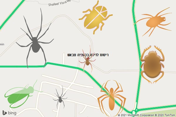ריסוס לדירה בכעביה טבאש