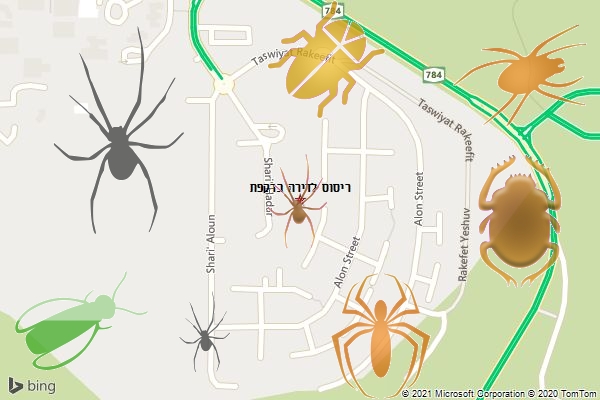 ריסוס לדירה ברקפת