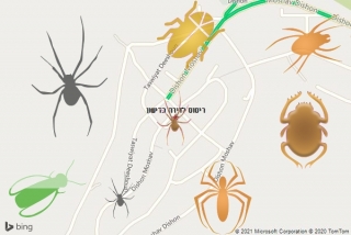 שירות ריסוס בדישון - ריסוס לדירה בדישון