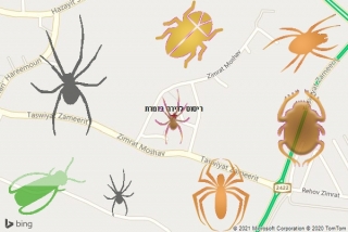 שירות ריסוס בזמרת - ריסוס לדירה בזמרת