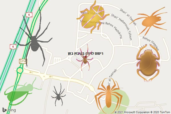 ריסוס לדירה בקיבוץ בחן