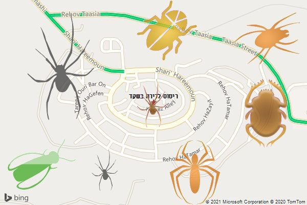 ריסוס לדירה בשקד