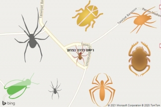 שירות ריסוס בפרזון - ריסוס לדירה בפרזון