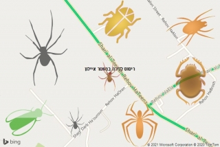 שירות ריסוס במשמר איילון - ריסוס לדירה במשמר איילון