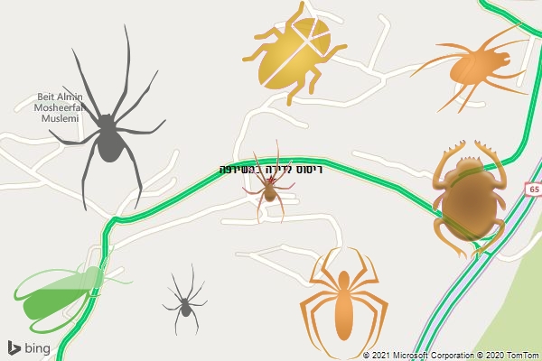 ריסוס לדירה במשירפה