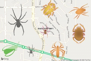 שירות ריסוס בדוגית - ריסוס לדירה בדוגית