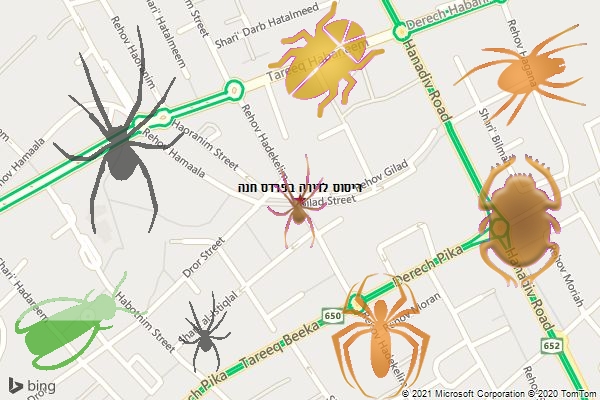ריסוס לדירה בפרדס חנה