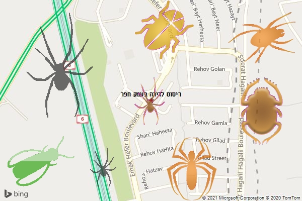 ריסוס לדירה בעמק חפר