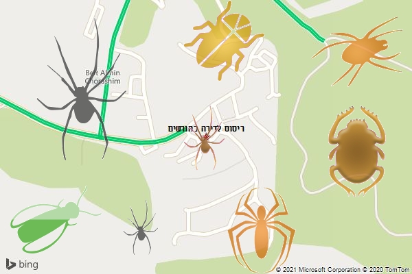 ריסוס לדירה בחורשים