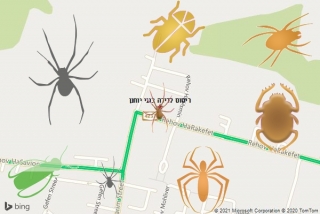 שירות ריסוס בגני יוחנן - ריסוס לדירה בגני יוחנן