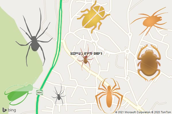 ריסוס לדירה בעיילבון