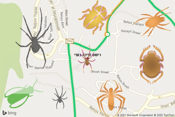 ריסוס לדירה בעדי
