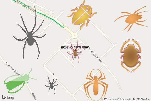 ריסוס לדירה ביושיביה