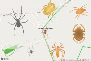 שירות ריסוס בפדיה - ריסוס לדירה בפדיה