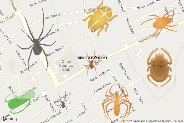 ריסוס לדירה בעומר