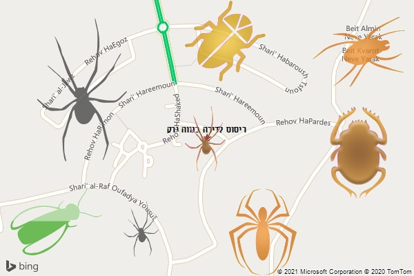 ריסוס לדירה בנווה ירק