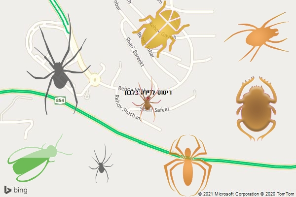 ריסוס לדירה בלבון