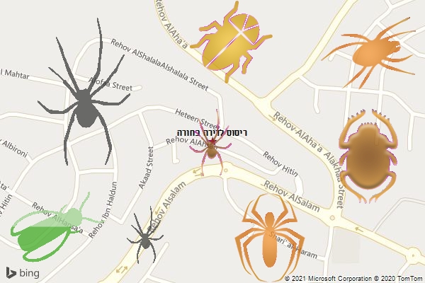 ריסוס לדירה בחורה