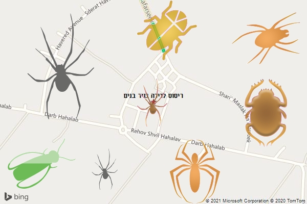 ריסוס לדירה בניר בנים