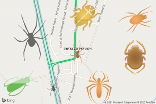 שירות ריסוס באלישיב - ריסוס לדירה באלישיב